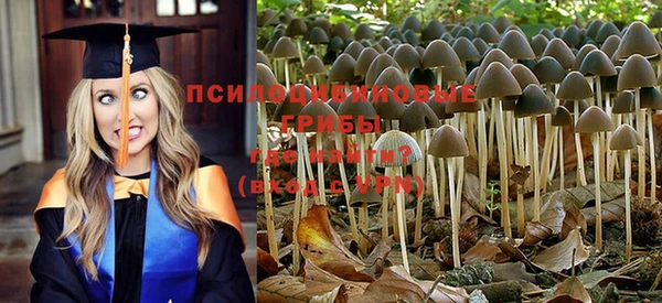 бошки Верхний Тагил