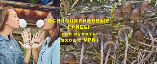 бошки Верхний Тагил